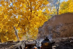 کوهگشت روستای نشلج ویژه دختران دانشگاه برگزار شد