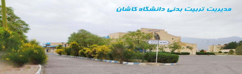 مدیریت تربیت بدنی