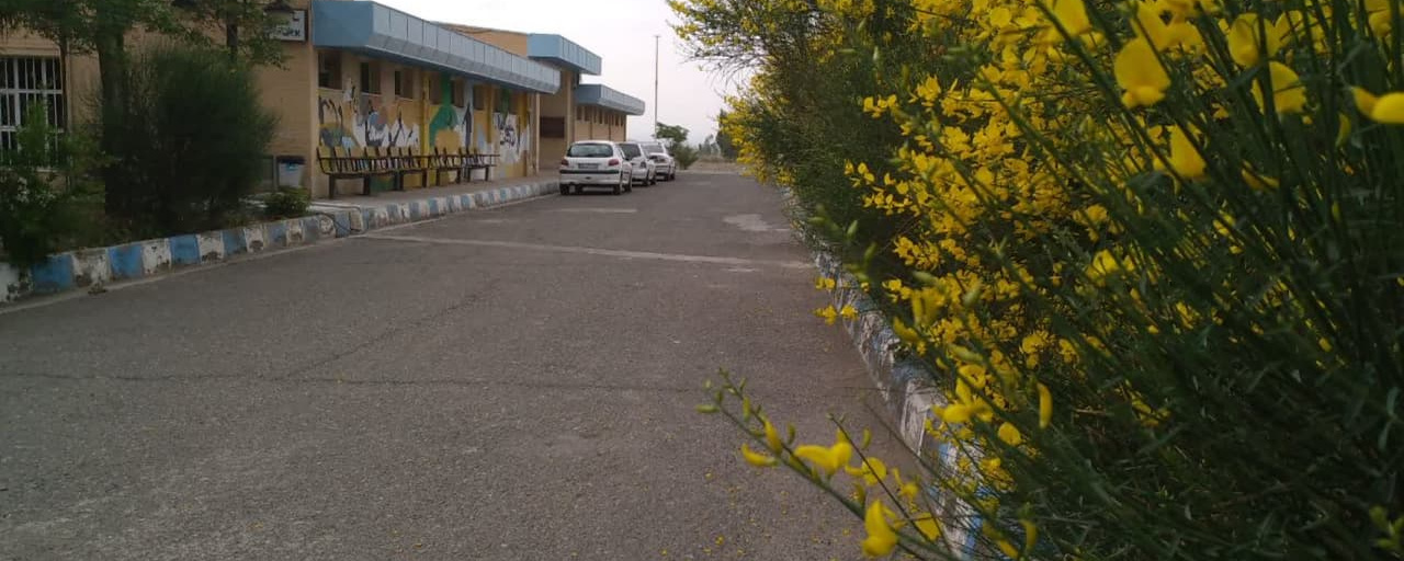 ورودی